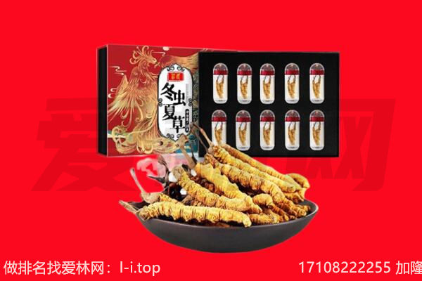 藁城区回收虫草.jpg